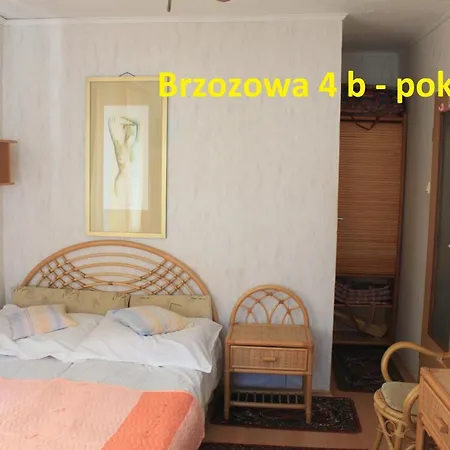 Brzozowa4b Gościnne *