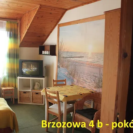 Brzozowa4b Gościnne
