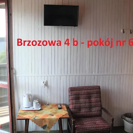 Brzozowa4b Gościnne *