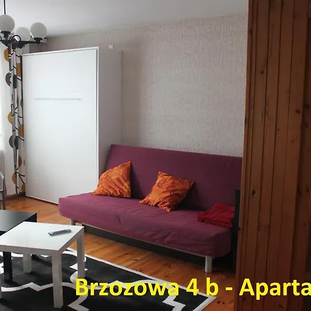 Brzozowa4b Gościnne *
