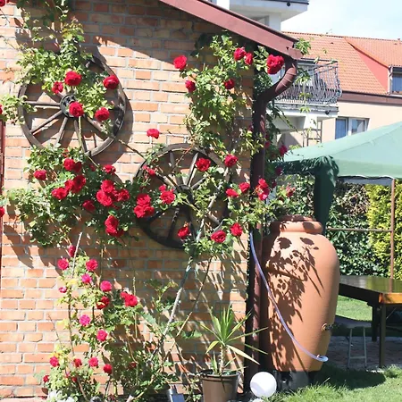 Homestay Brzozowa4b Goscinne *