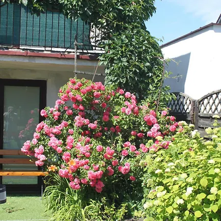 Brzozowa4b Goscinne Homestay Leba