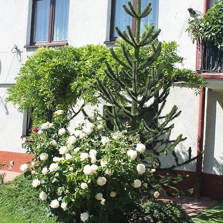 Brzozowa4b Goscinne Homestay Leba