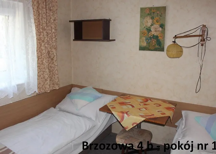 民宿 Brzozowa4b Goscinne 莱鲍