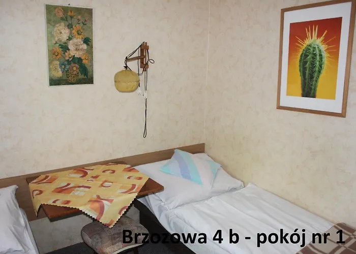 民宿 Brzozowa4b Goscinne *