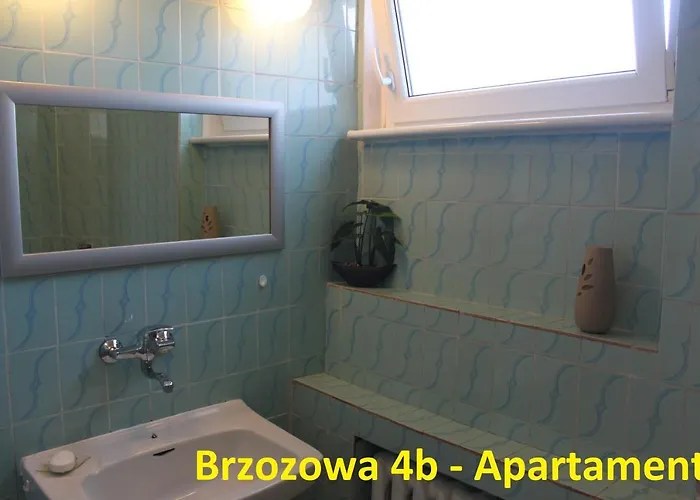 民宿 Brzozowa4b Goscinne *