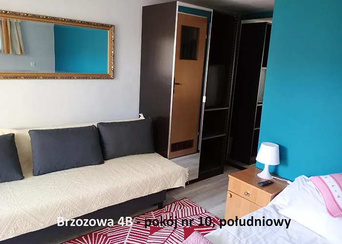 民宿 Brzozowa4b Goscinne 莱鲍