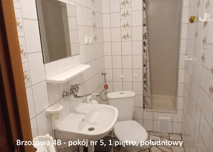 民宿 Brzozowa4b Goscinne *